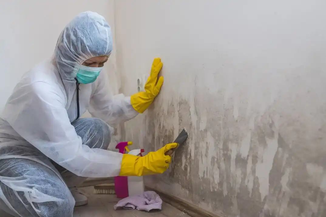water damage restoration service Platte Brook North